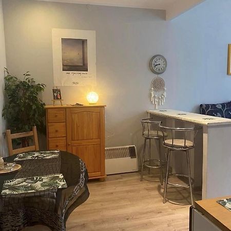 Apartament Snooze Jedlina-Zdroj Extérieur photo