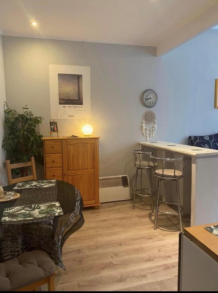 Apartament Snooze Jedlina-Zdroj Extérieur photo